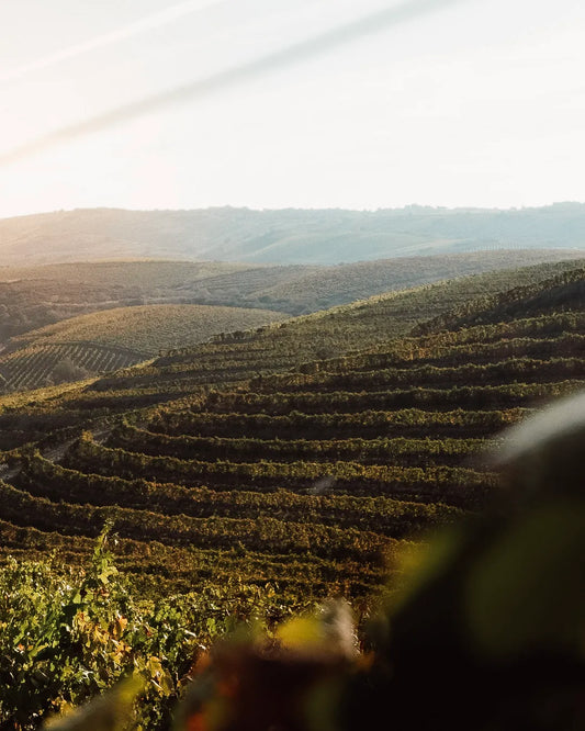 PARTILHA | IDENTIDADE | CULTURA