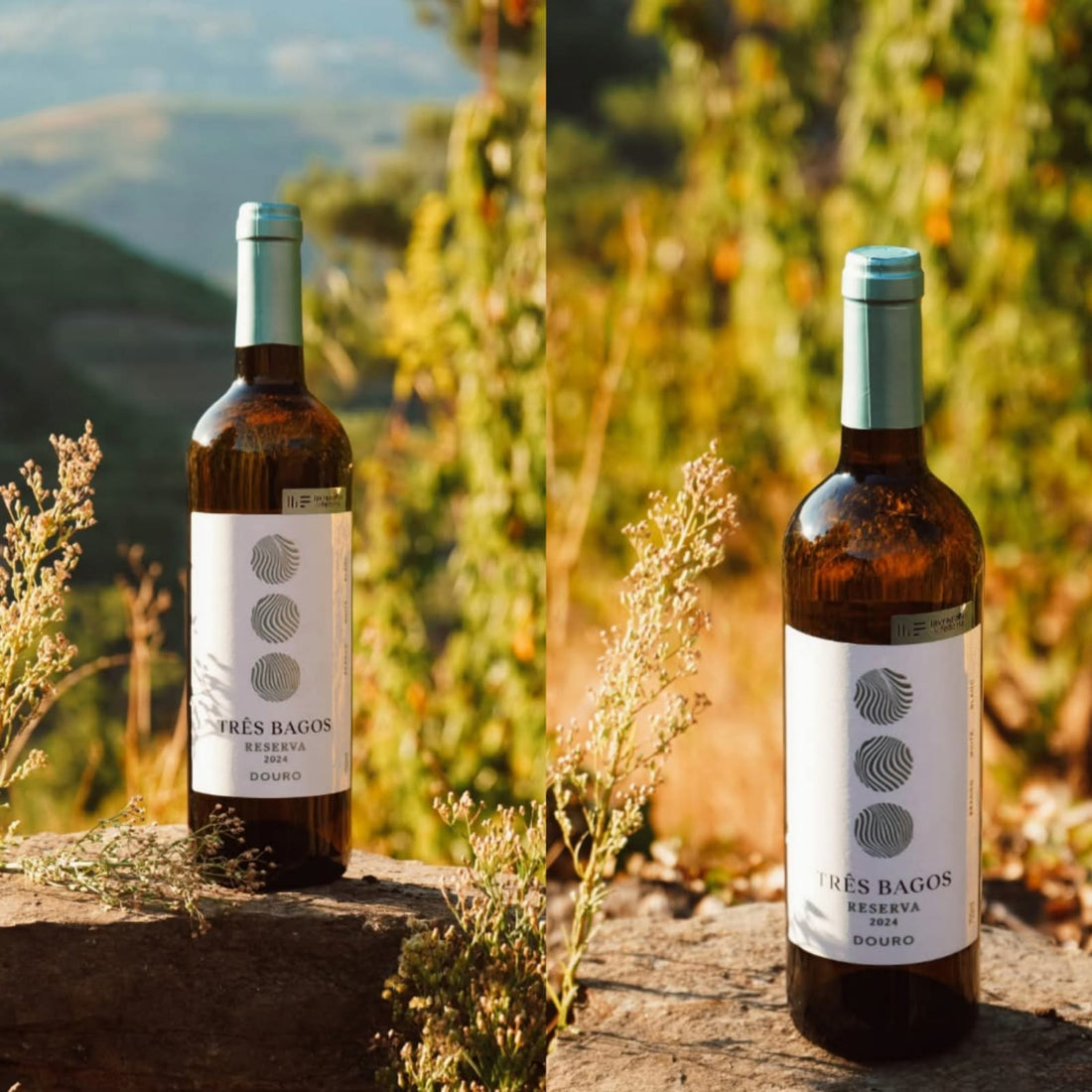Três Bagos Reserva Branco 2024