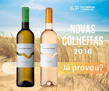 LF veste-se a duas cores para o Verão