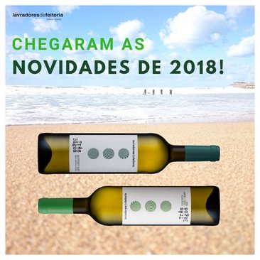 ‘Três Bagos’ brancos: “Douro de gema” e “blockbuster” de 2018 chegam ao mercado