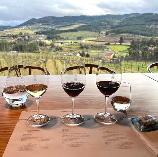 DEGUSTAÇÃO VÍNICA - CONCEITO