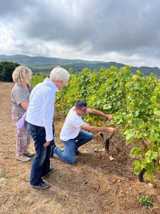 VISITA GUIADA EM PRIVADO COM PROVA DE VINHOS SOBERBO