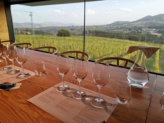 VISITA GUIADA COM PROVA DE VINHOS - PLANALTO