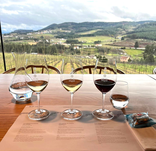 DEGUSTAÇÃO VÍNICA - IDENTIDADE