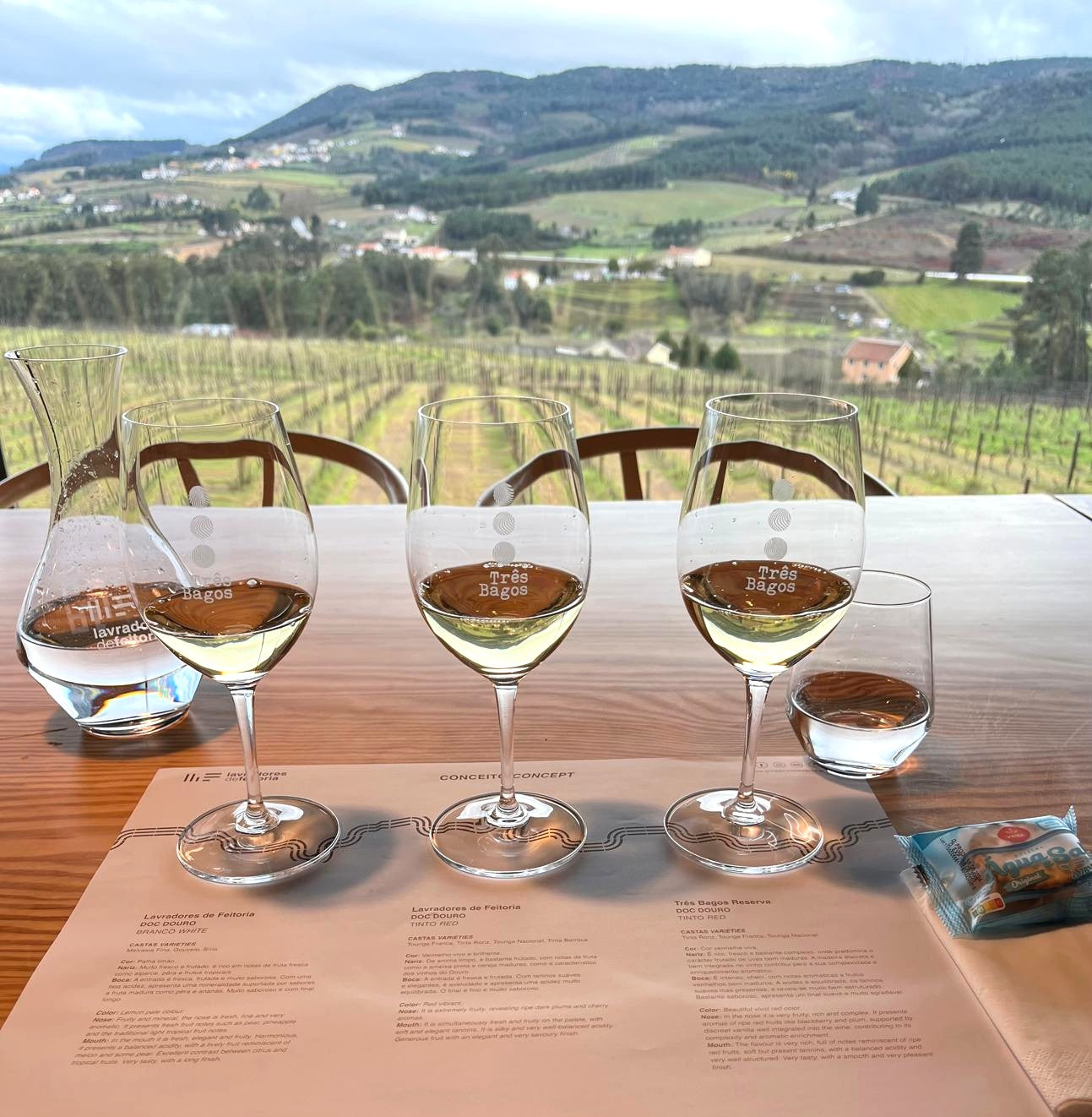 DEGUSTAÇÃO VÍNICA - PLANALTO