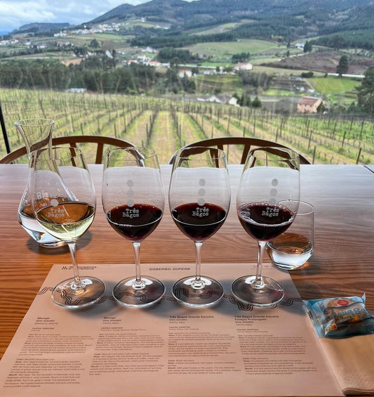 DEGUSTAÇÃO VÍNICA - SOBERBO