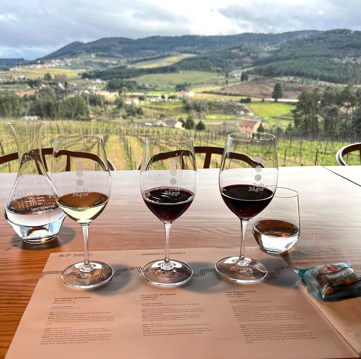 DEGUSTAÇÃO VÍNICA - TERROIR
