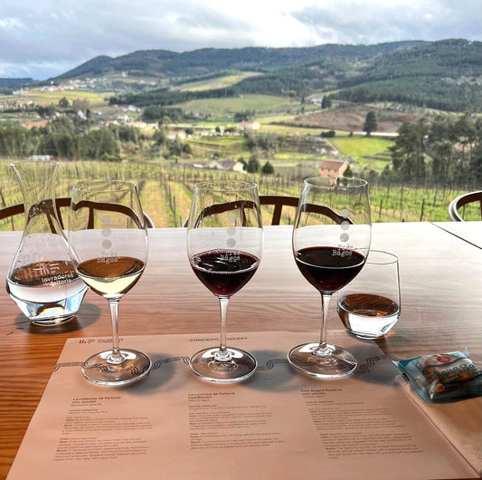 DEGUSTAÇÃO VÍNICA - TERROIR