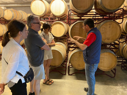VISITA GUIADA COM PROVA DE VINHOS - TERROIR
