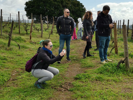 VISITA GUIADA COM PROVA DE VINHOS - CONCEITO
