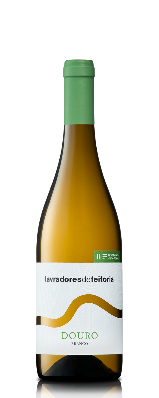 LAVRADORES DE FEITORIA BRANCO 2024