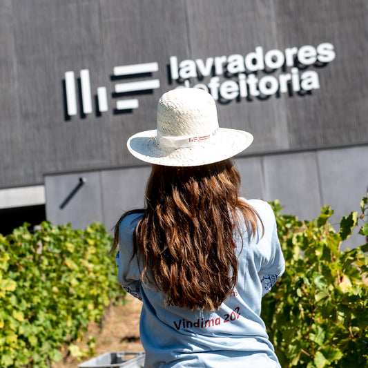 Revista Mais Magazine: Lavradores de Feitoria – Um projeto de enoturismo distinguido além fronteiras.
