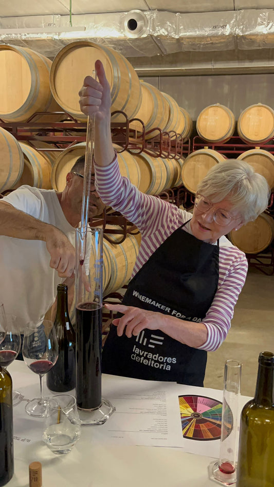 Enoturismo no Douro: Lavradores de Feitoria celebra um ano e sugere experiência de "Enólogo por um dia"