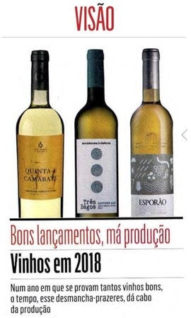 Sauvignon Blanc é "bom lançamento"