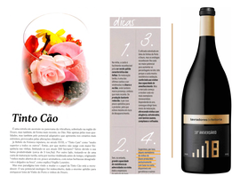 A 'Casta Tinto Cão' na Revista de Vinhos