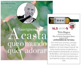 Sauvignon Blanc- A Casta que o Mundo quer Adorar